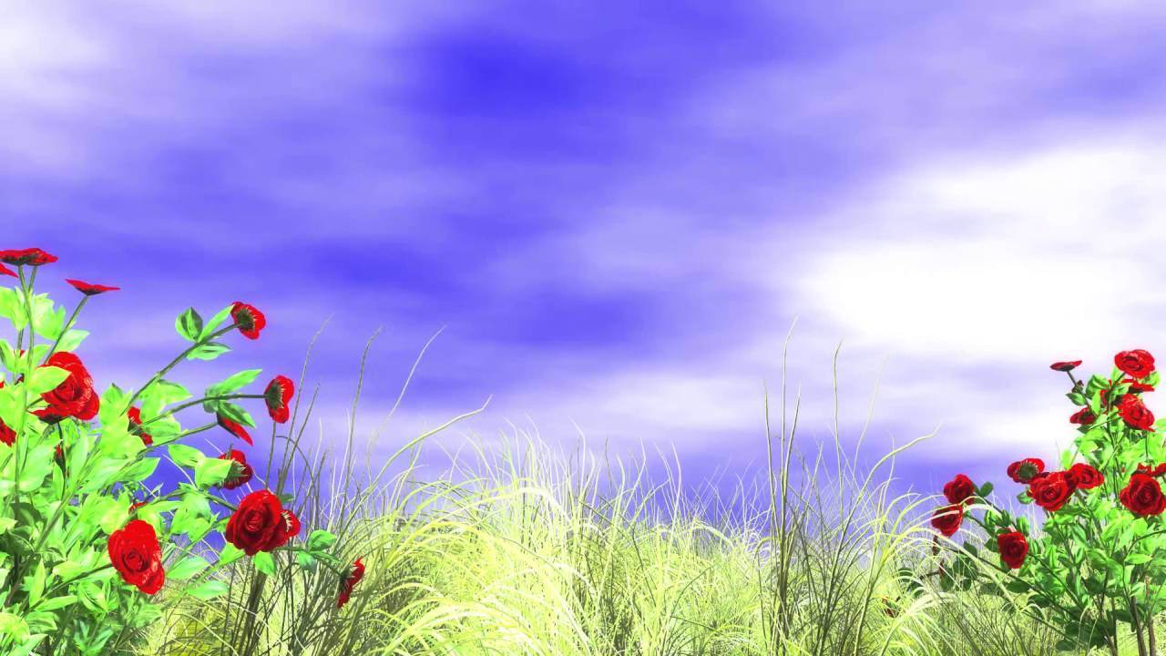 Photo Background Images Free Download - Background Images Download Free -  1280x720 Wallpaper 