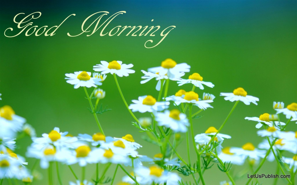 Good Morning Flowers Wallpaper - Good Morning With Flowers Hd ...