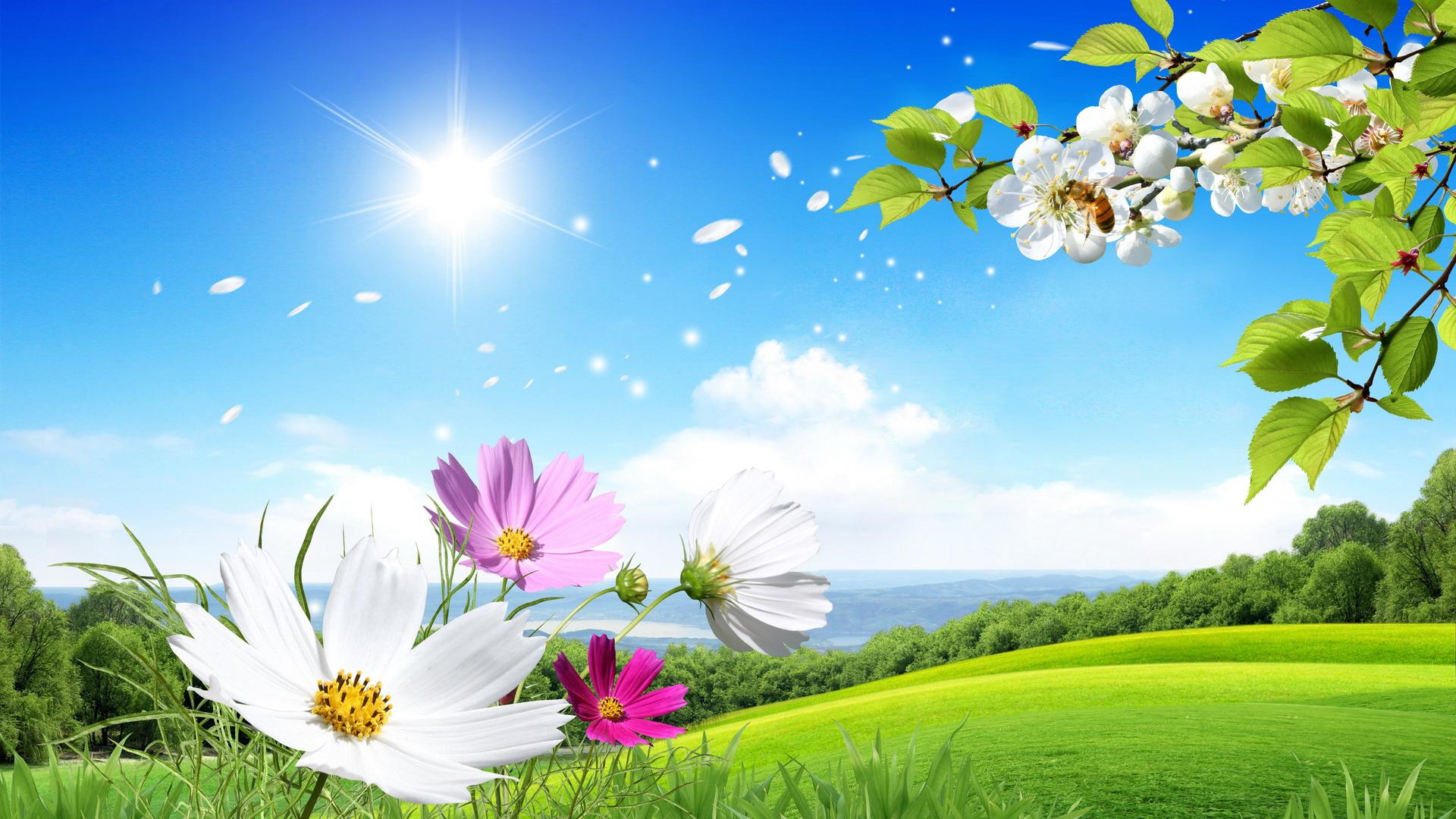Beautiful Summer And Flowers Scenery Wallpaper Widescreen High