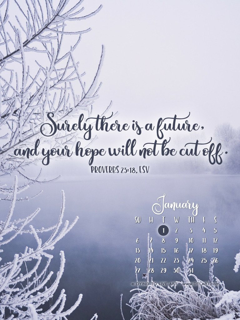 Free Desktop Wallpaper Calendar - Nature Snowfall Dp For Whatsapp ...