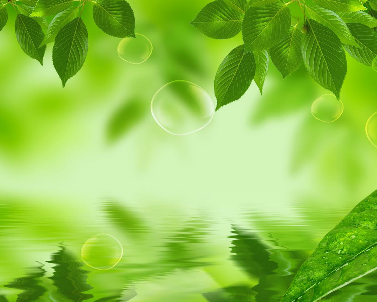 98+ Background Nature Green Leaves Pics - MyWeb