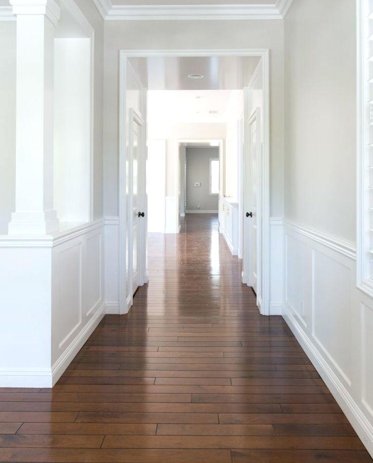 Benjamin Moore Pale Oak Walls - 736x912 Wallpaper - teahub.io