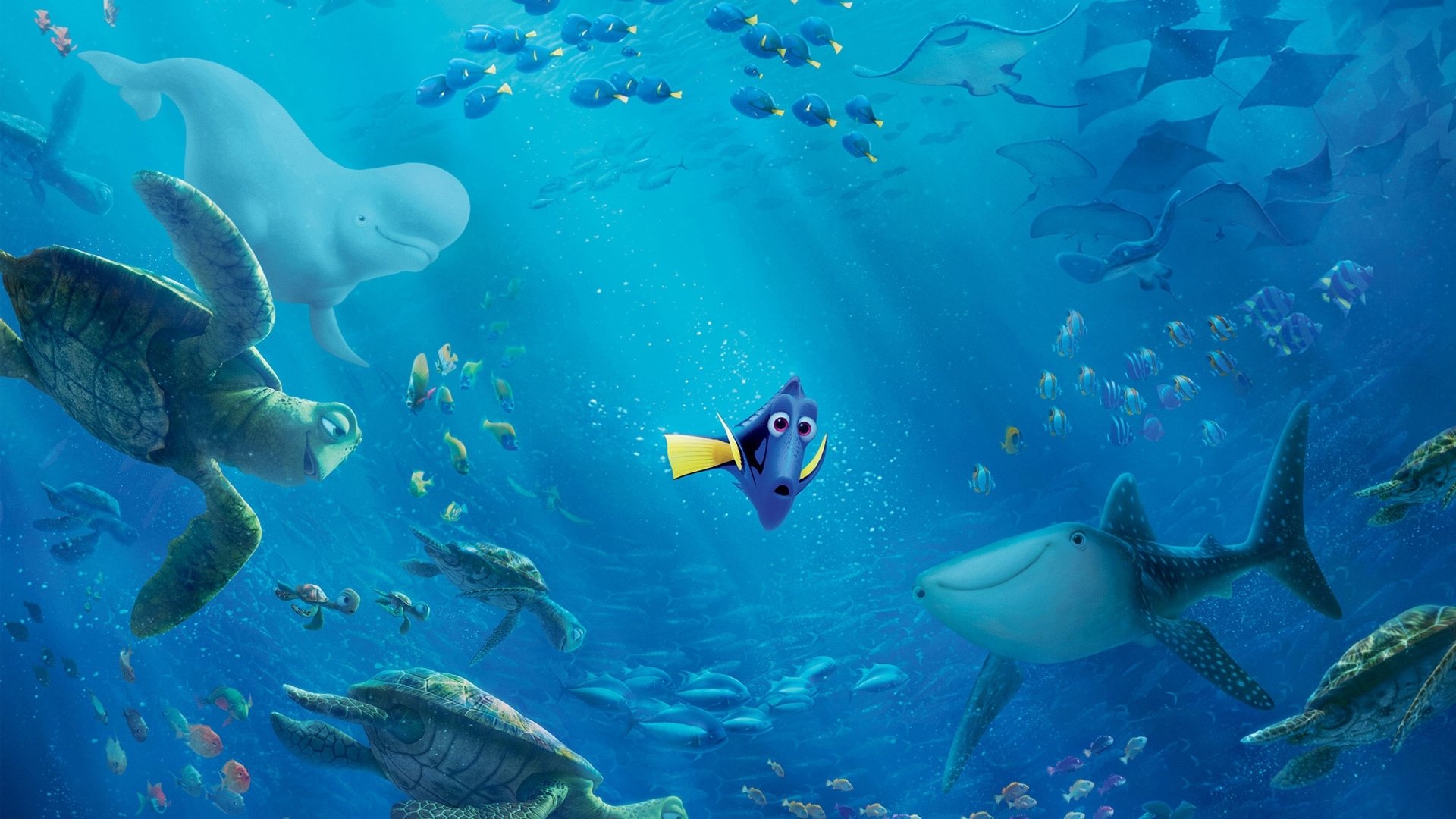 Finding Nemo Wallpapers 19x1080 Wallpaper Teahub Io