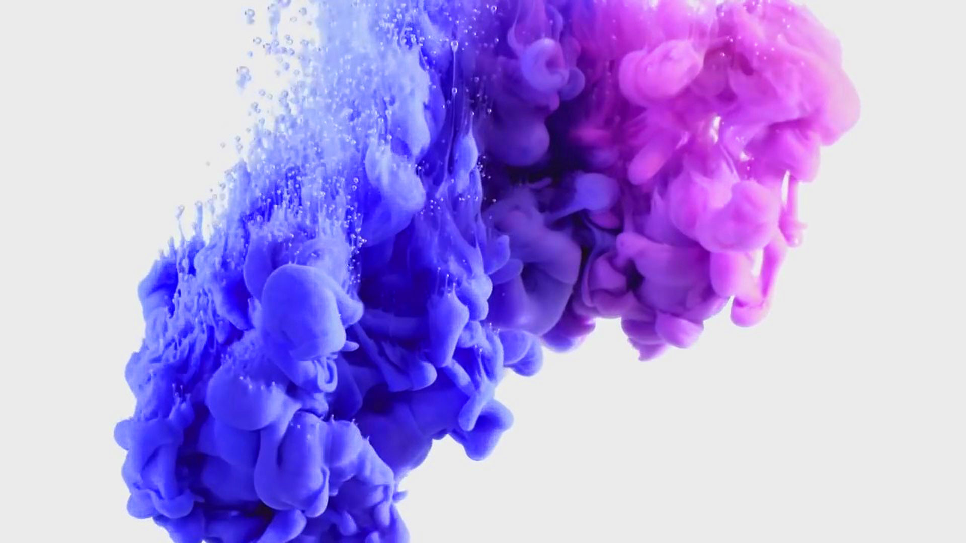 Hd Pics Photos Stunning Attractive Color Explosion - Explosion De Colores Png - HD Wallpaper 