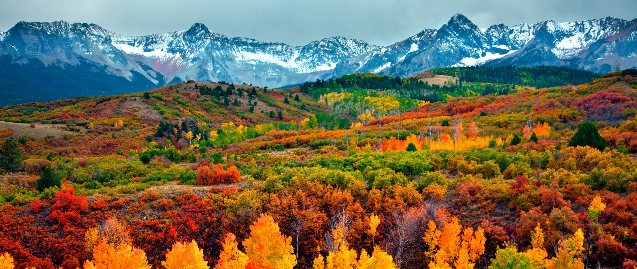 Colorado Fall Colors 2018 2560x1080 Wallpaper teahub.io
