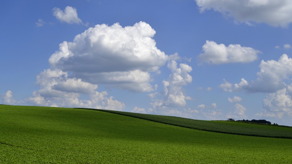 Field - 1024x577 Wallpaper - teahub.io