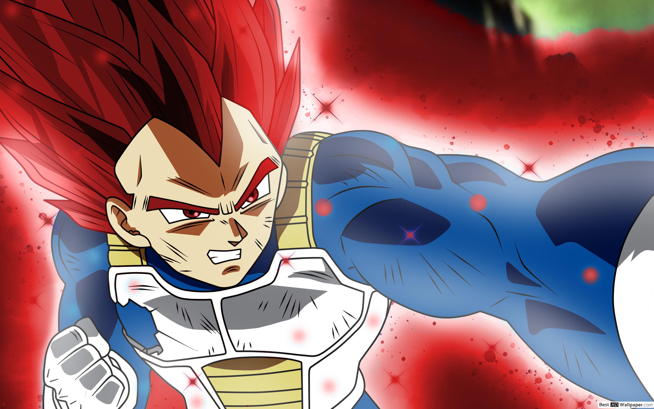 Super Saiyan God Vegeta Profile - 2560x1600 Wallpaper - teahub.io