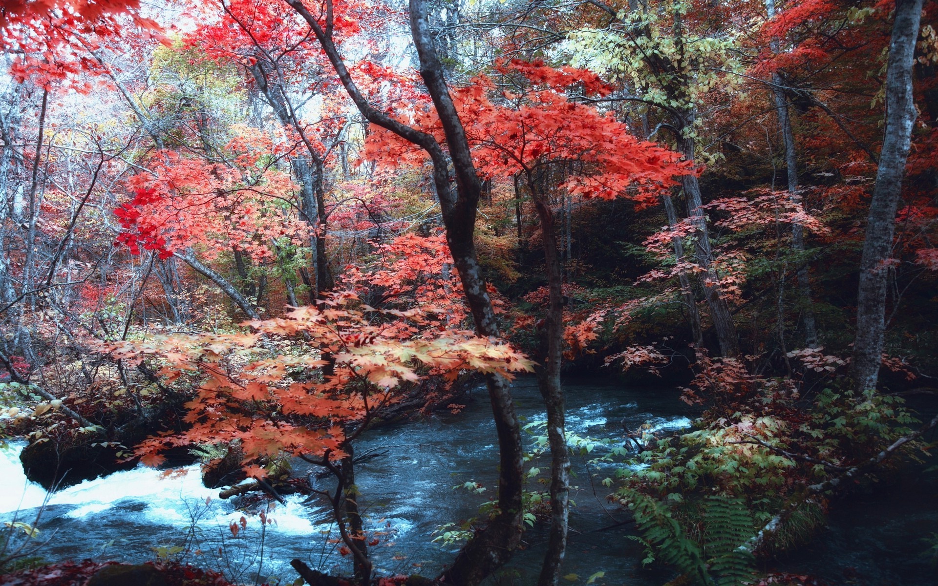 River Japan - HD Wallpaper 