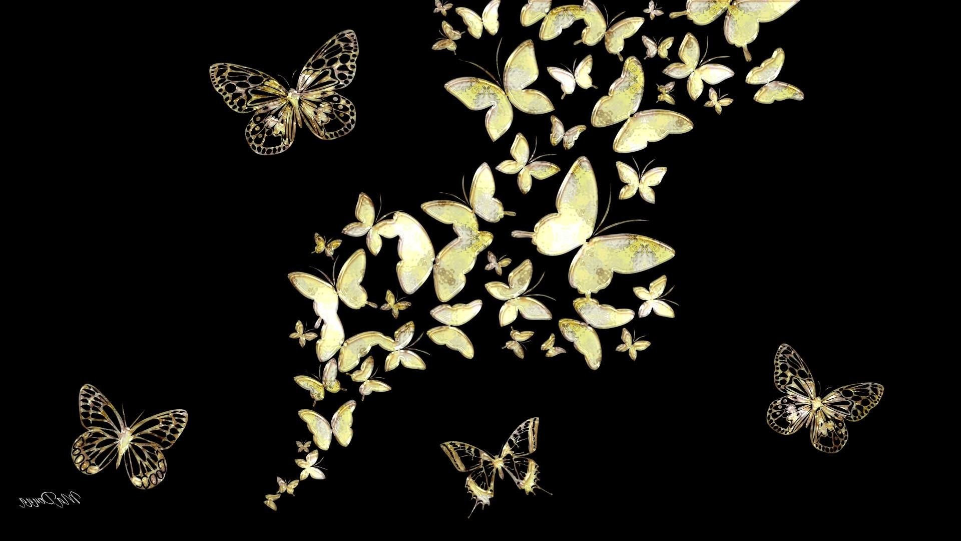 Black Abstract Gold Jewels Butterfly Mirror Data Black And Gold Butterfly Background 1920x1080 Wallpaper Teahub Io