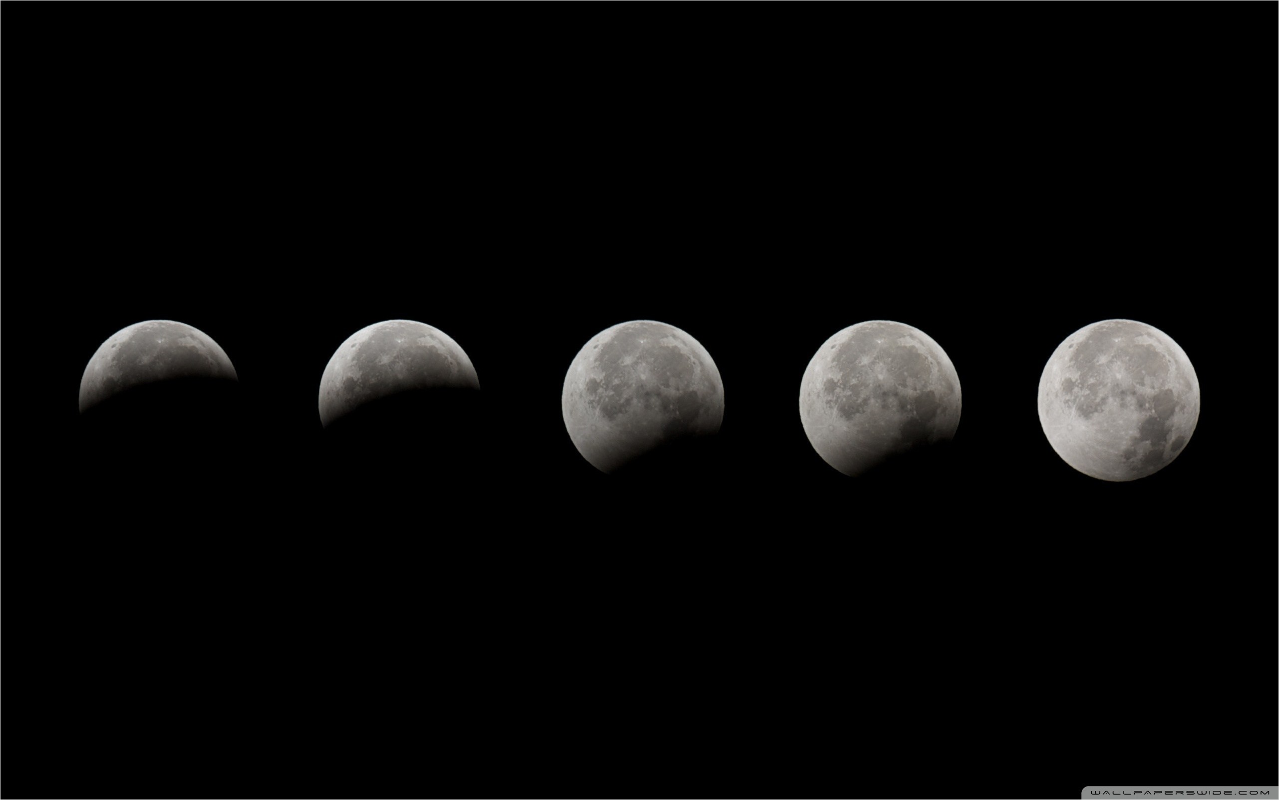 Moon Phases Black And White - 2562x1602 Wallpaper 