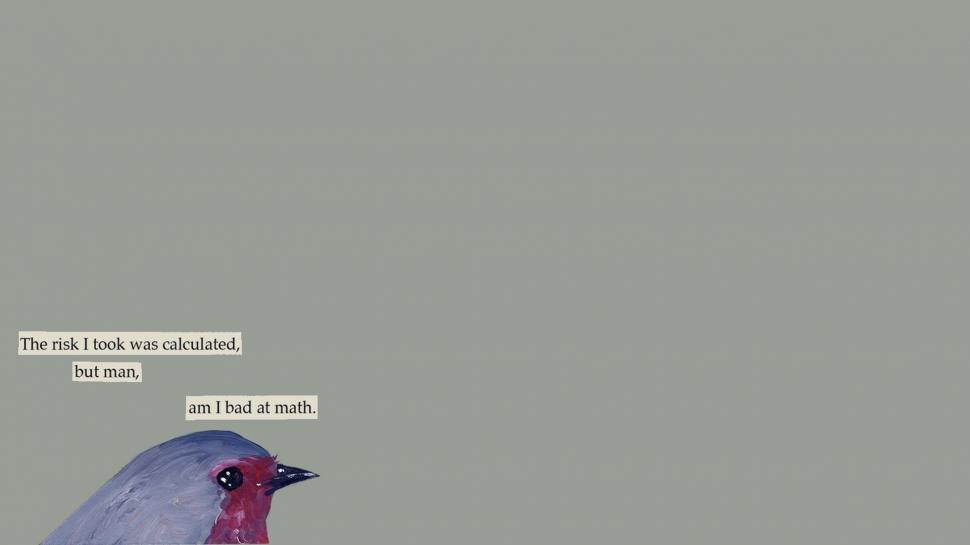 Humor, Minimalism, Bird, Sentence, Simple Background - American Rosefinches - HD Wallpaper 