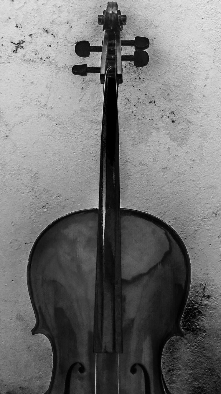 Pasquale Vinaccia Violin - HD Wallpaper 