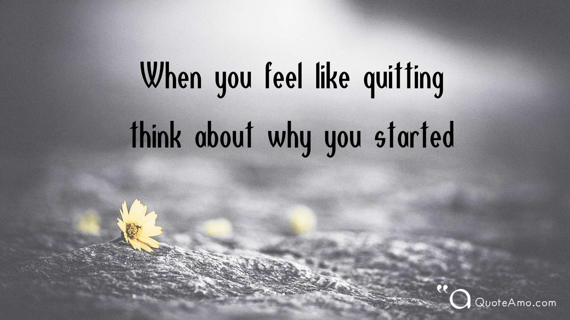 Wallpaper Quotes Hd - You Feel Like Quitting Think - 1920x1080