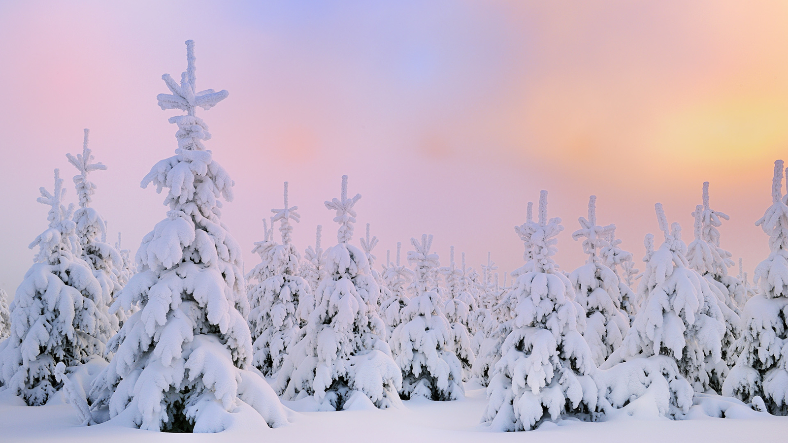 winter snow desktop background