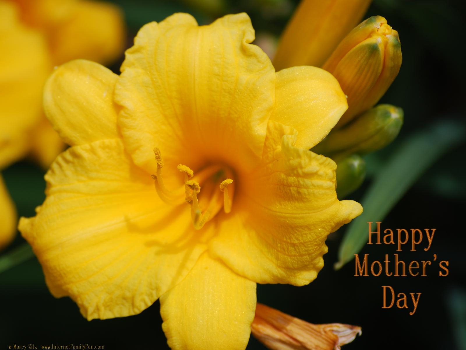 Mothers Day Background - HD Wallpaper 