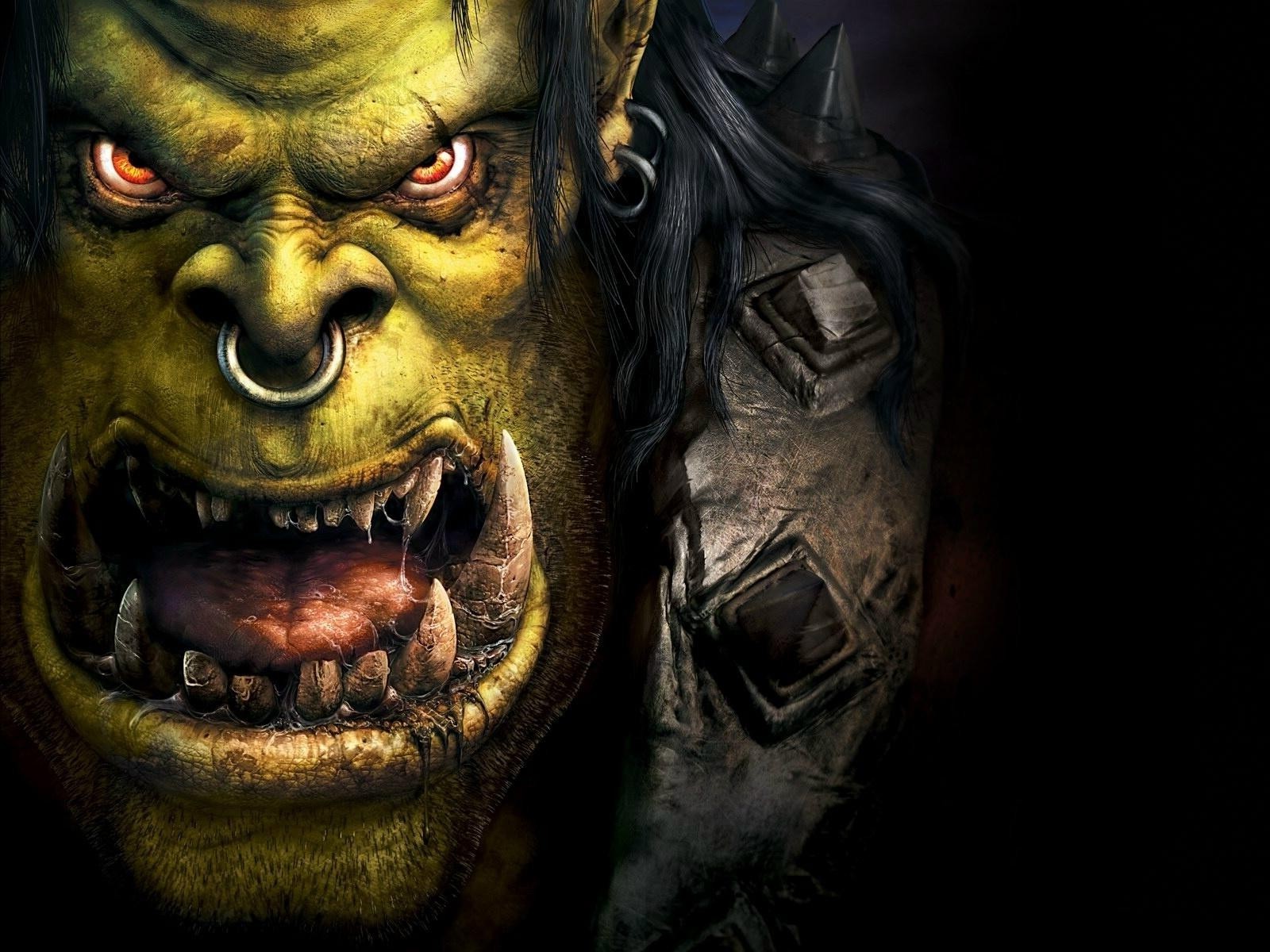 Wow Warrior Wallpaper Warcraft 3 Reign Of Chaos Poster 1600x1200 Wallpaper