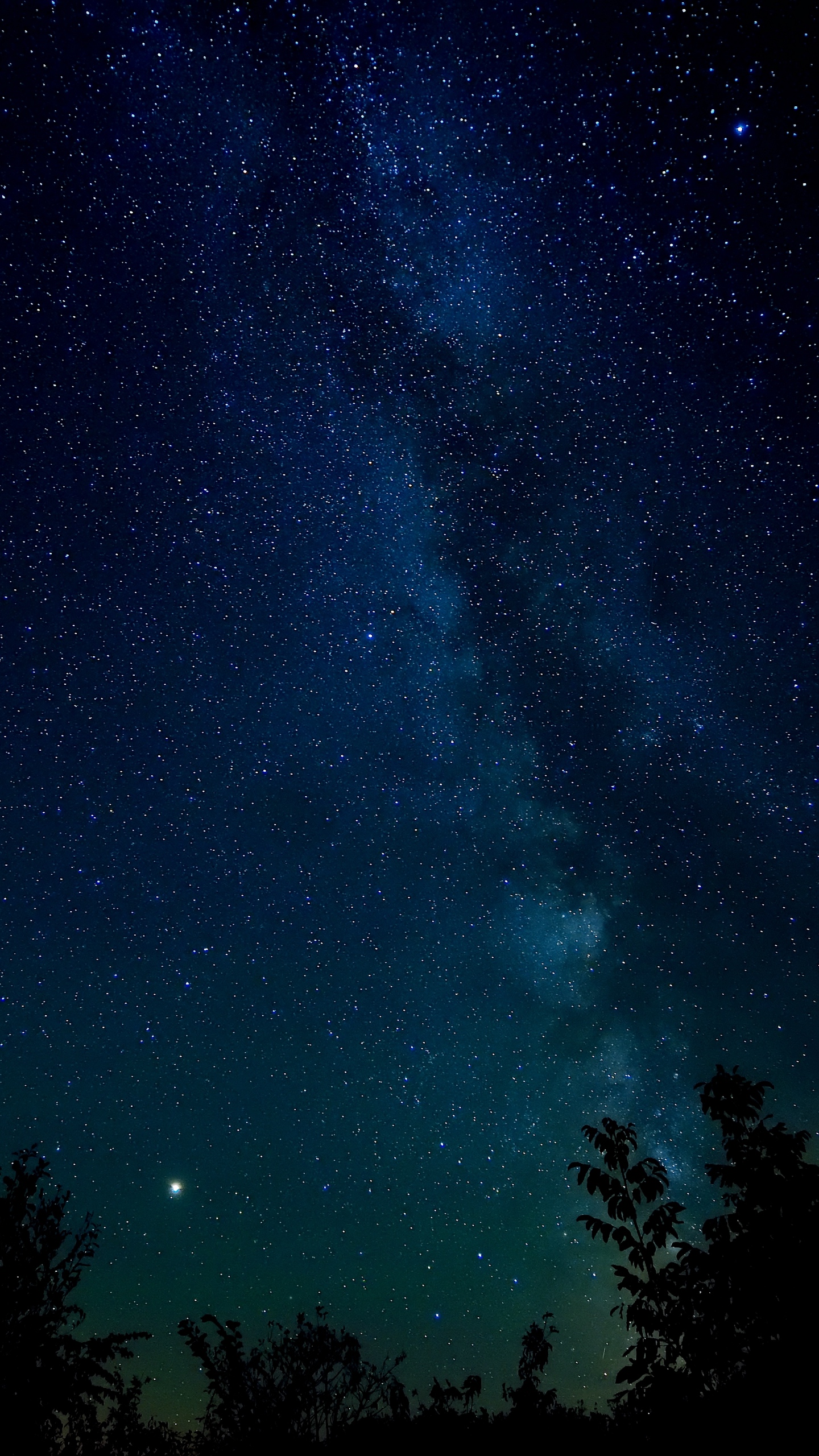 Wallpaper Starry Sky, Night, Stars, Trees, Night Sky - Iphone Night Sky  Background - 938x1668 Wallpaper 