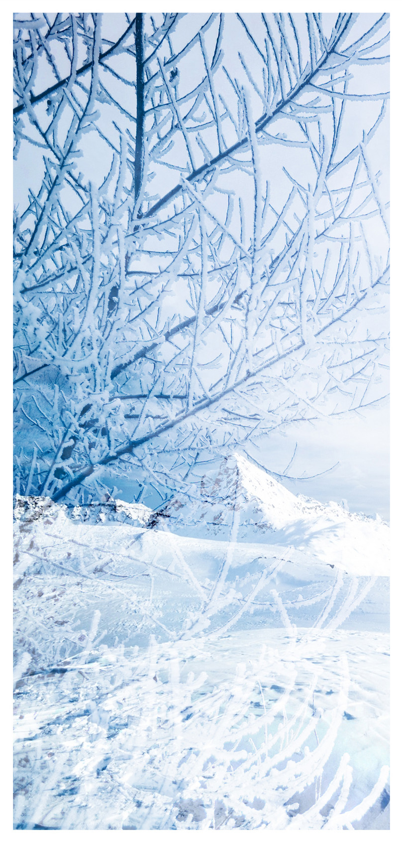 123 Wallpaper Hd Salju Putih Images - MyWeb
