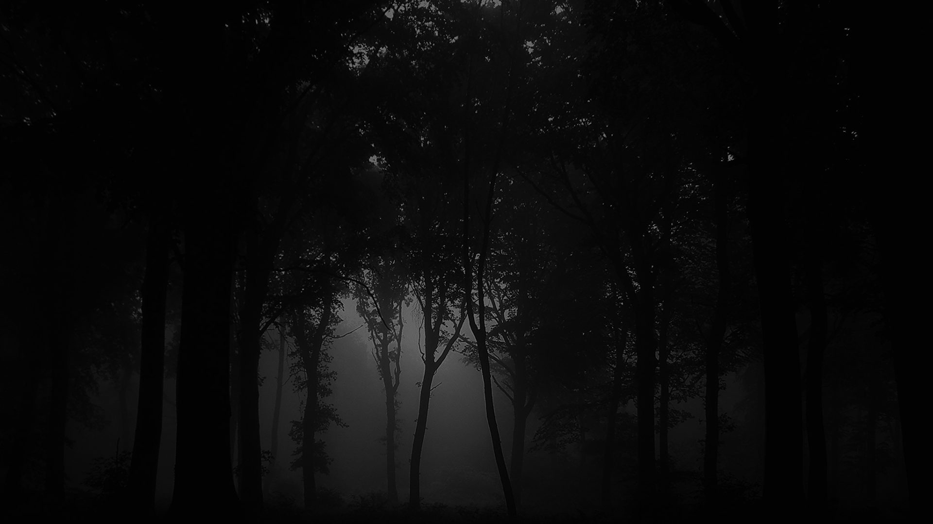 Fog - 1920x1080 Wallpaper - teahub.io