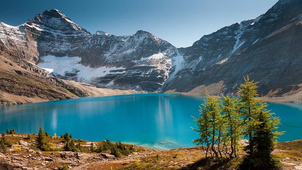 Lake O'hara - HD Wallpaper 