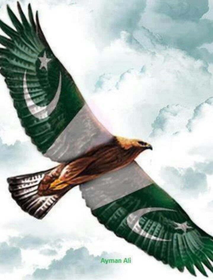 Eaglepakistaniflagwallpapersfreehd Hd Wallpaper