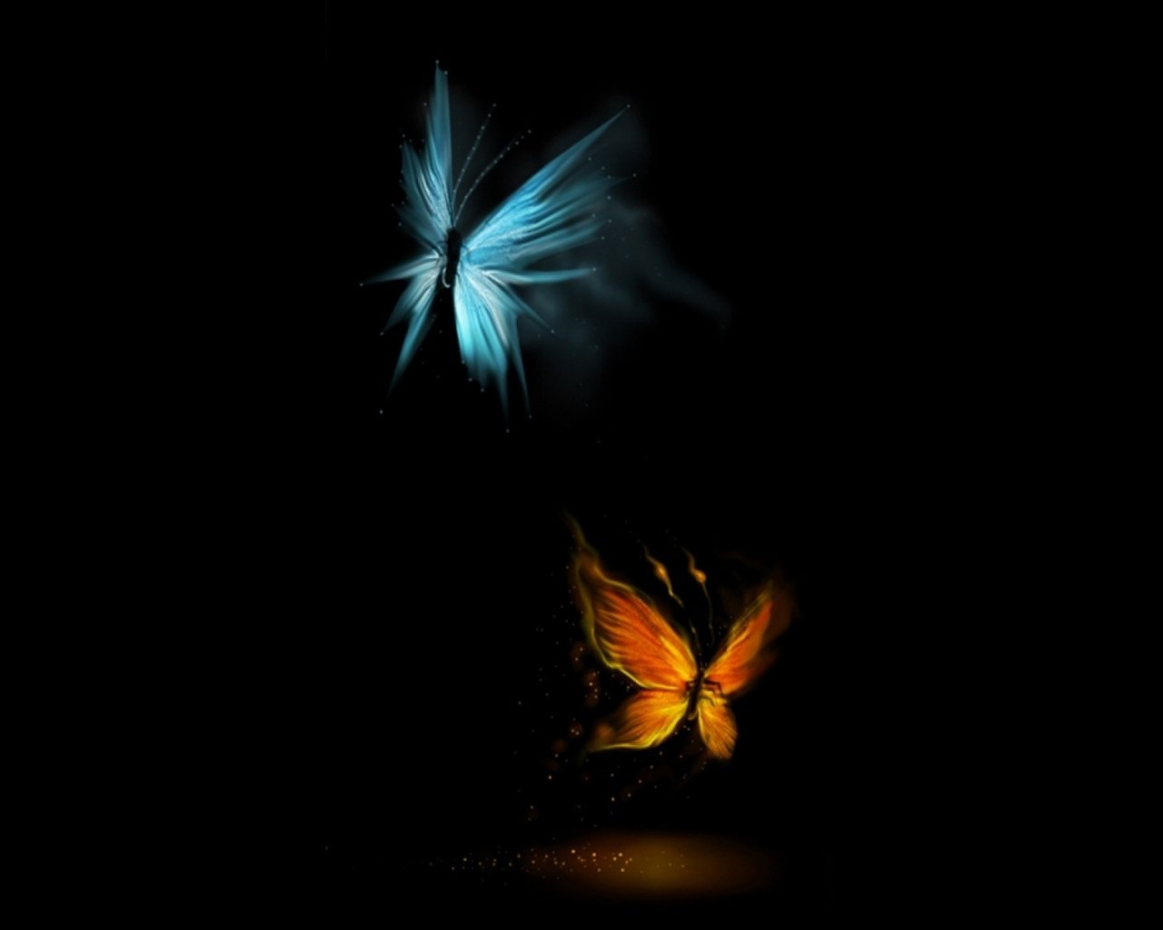 Butterfly Effect Wallpapers - Black Background Hd Love - 1280x1024 Wallpaper  