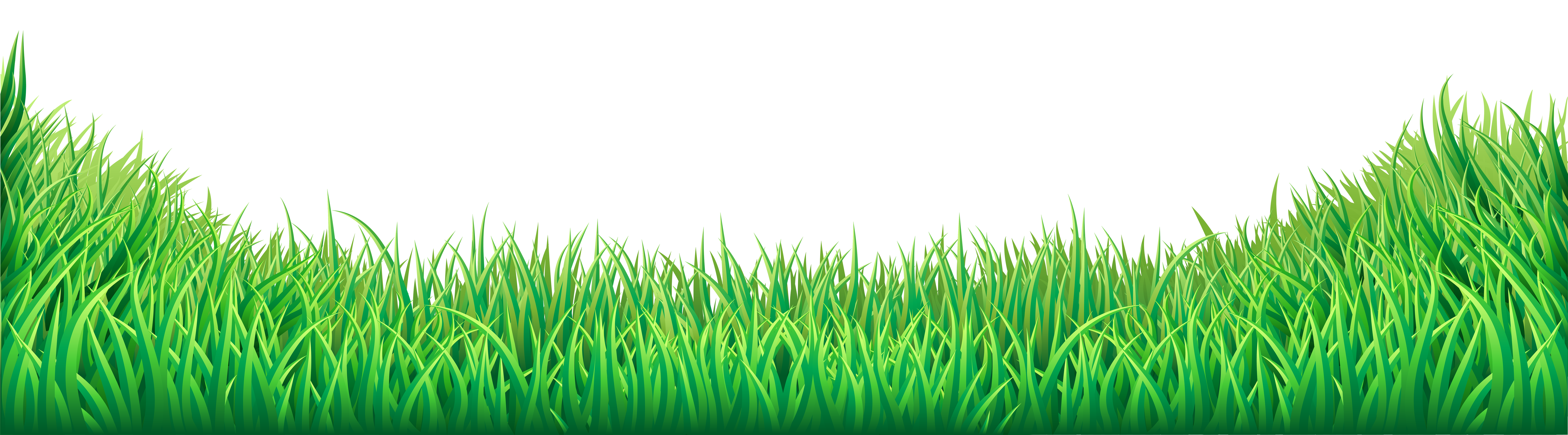Grass Lawn 8000x2218 Wallpaper Teahub Io