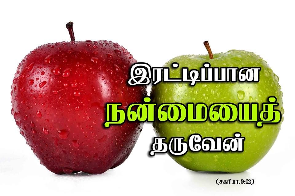 Double Blessings Verse In Tamil - 960x637 Wallpaper - teahub.io