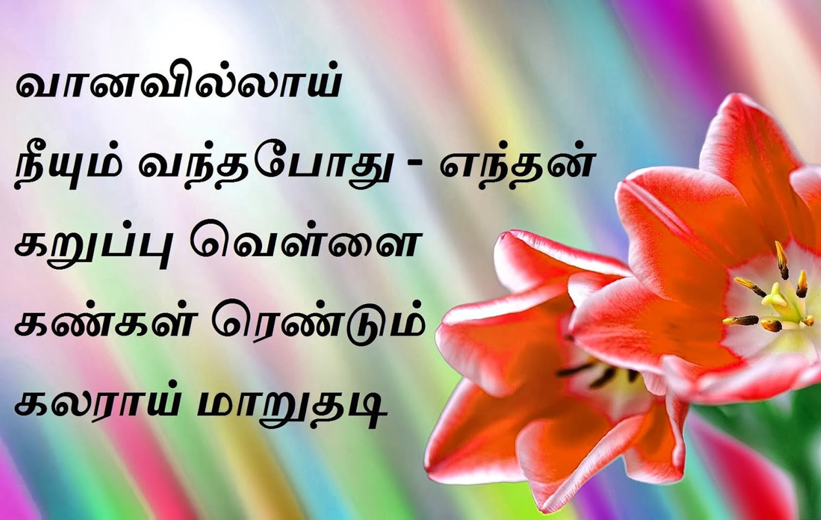 Tamil Text - HD Wallpaper 