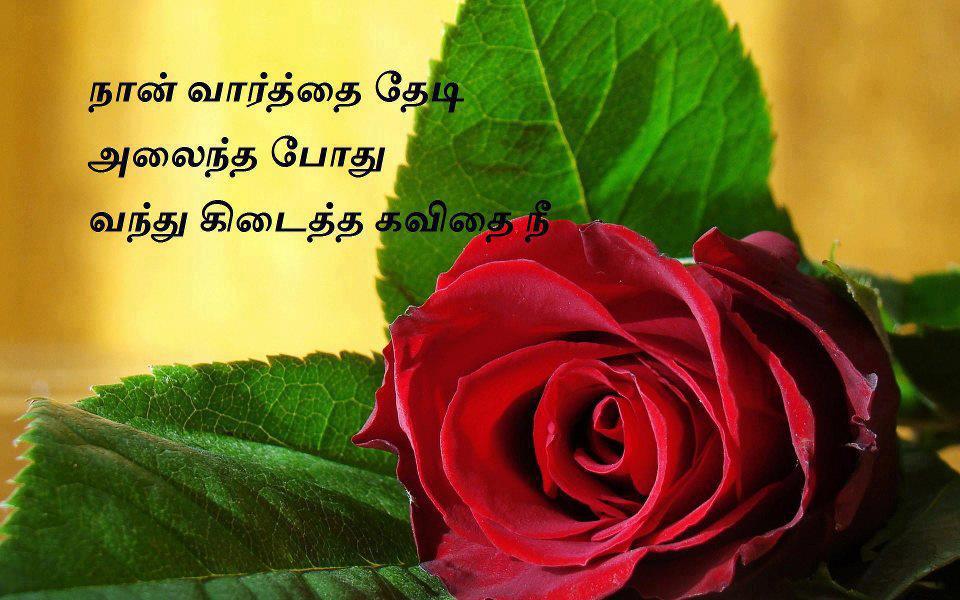 Tamil Wallpaper Kavithai - 960x600 Wallpaper - teahub.io