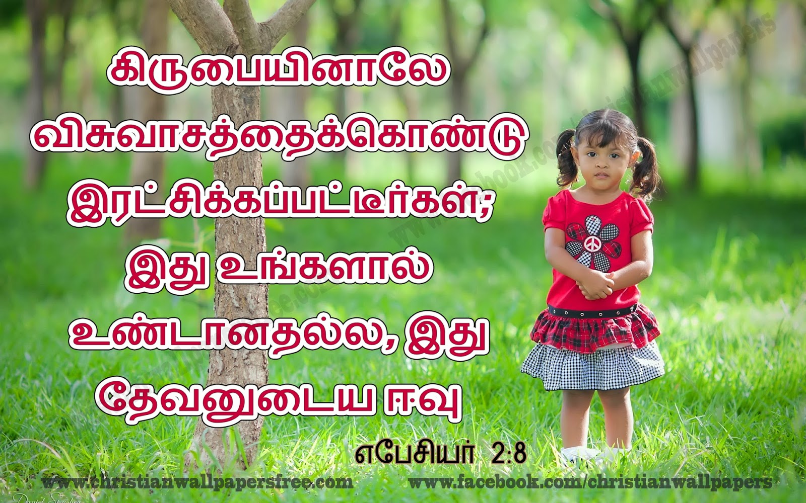 Tamil Bible Word Helperluda