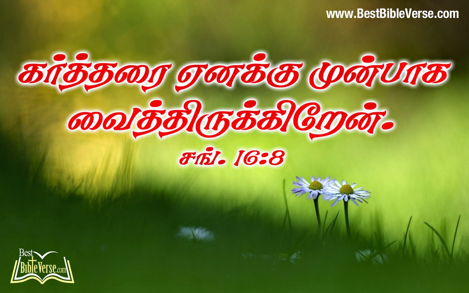 Tamil Bible Verse Pictures Naxresh