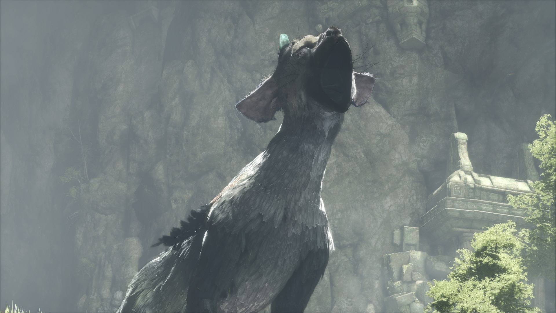 Last Guardian Trico Roar - 1920x1080 Wallpaper - teahub.io