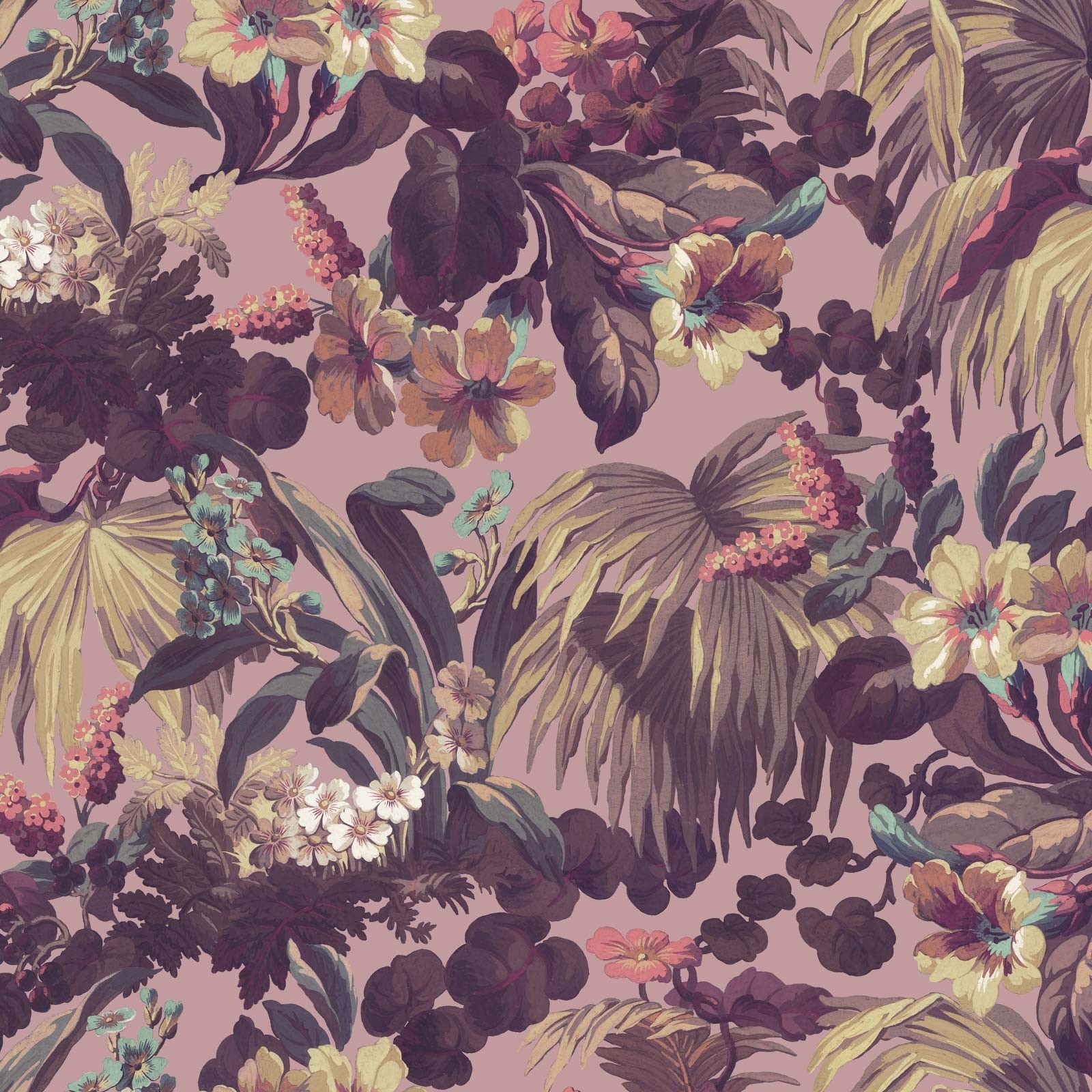 House Of Hackney Limerence 1600x1600 Wallpaper Teahub Io