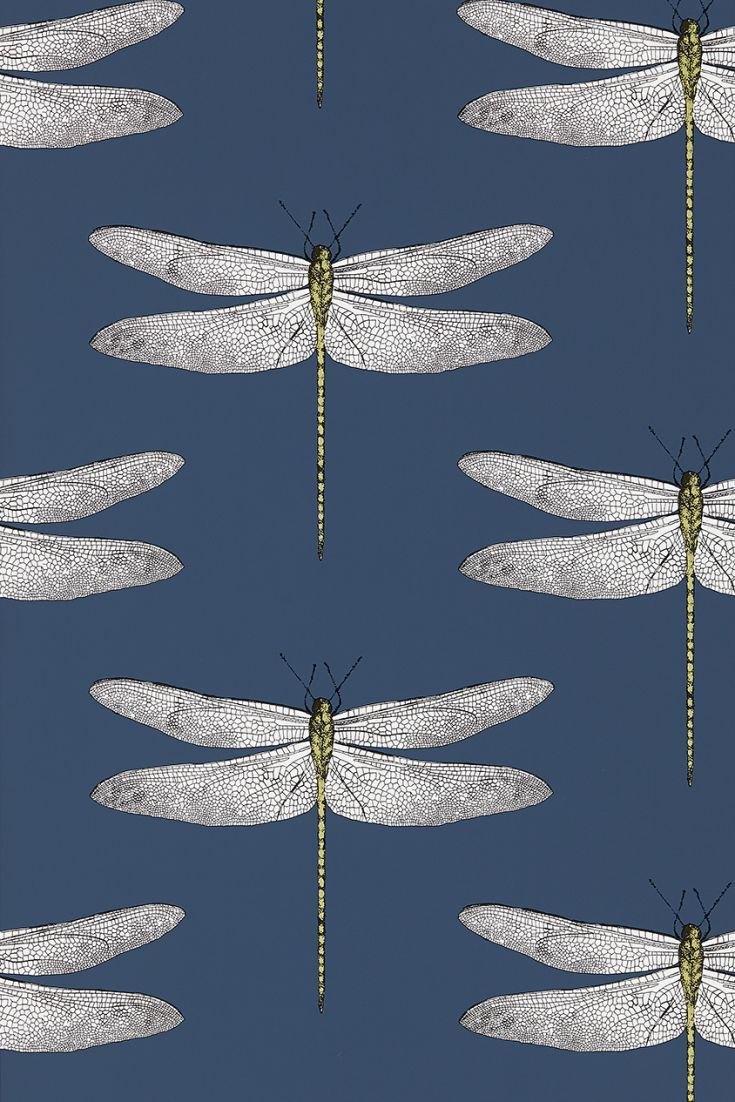 dragonfly art wallpaper