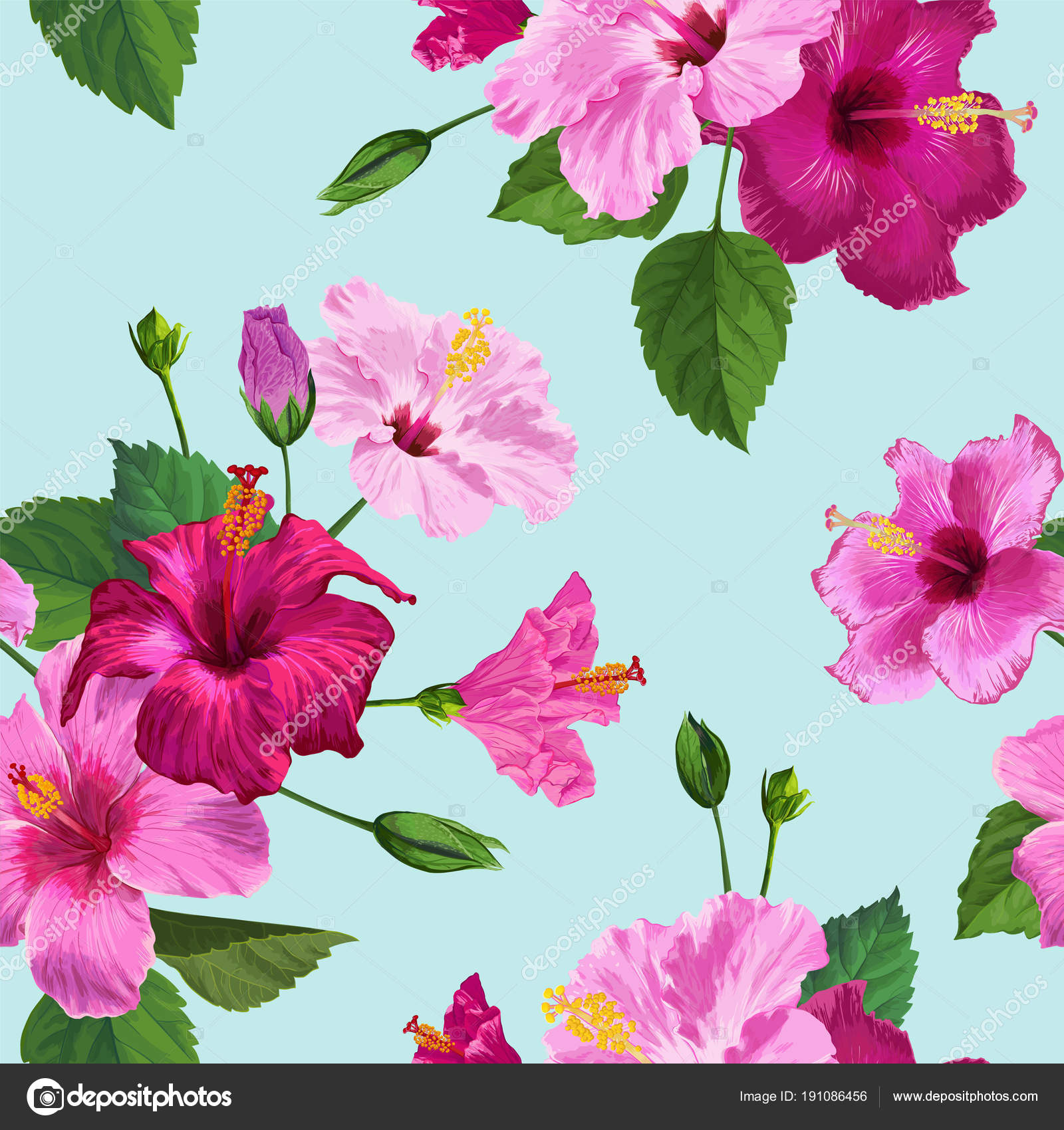 Hibiscus Background - HD Wallpaper 