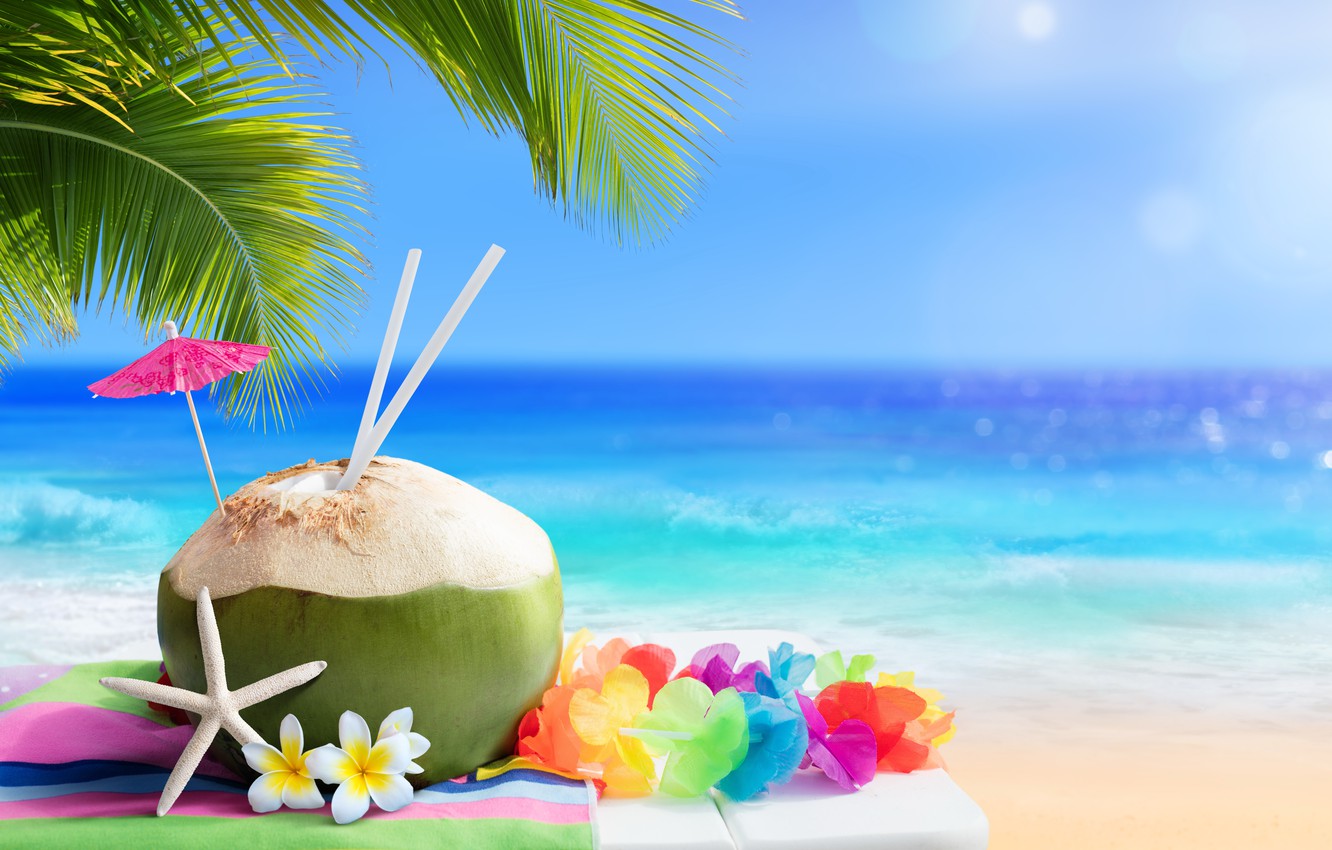 Photo Wallpaper Sand, Sea, Beach, Summer, Stay, Summer, Coconut On Sea Beach 1332x850