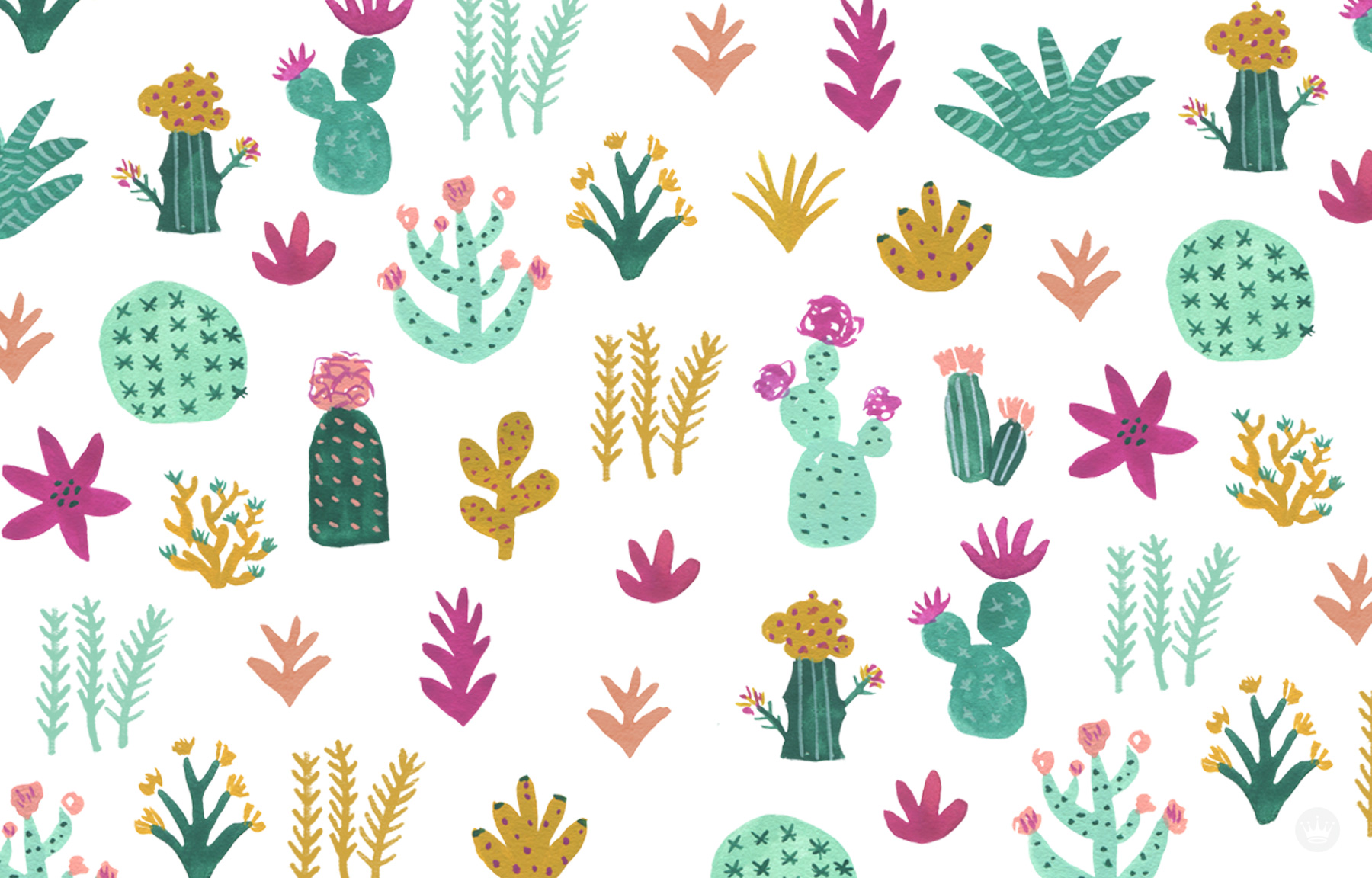 Cute Cactus Wallpaper - 1800x1152 Wallpaper - teahub.io