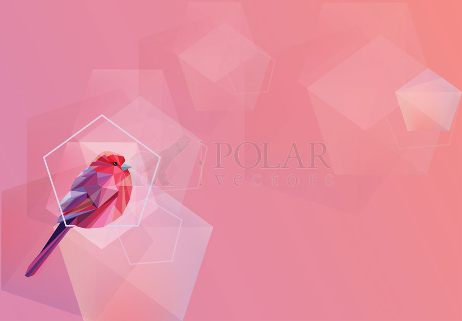 Pink Bird Wallpaper - 900x626 Wallpaper - teahub.io