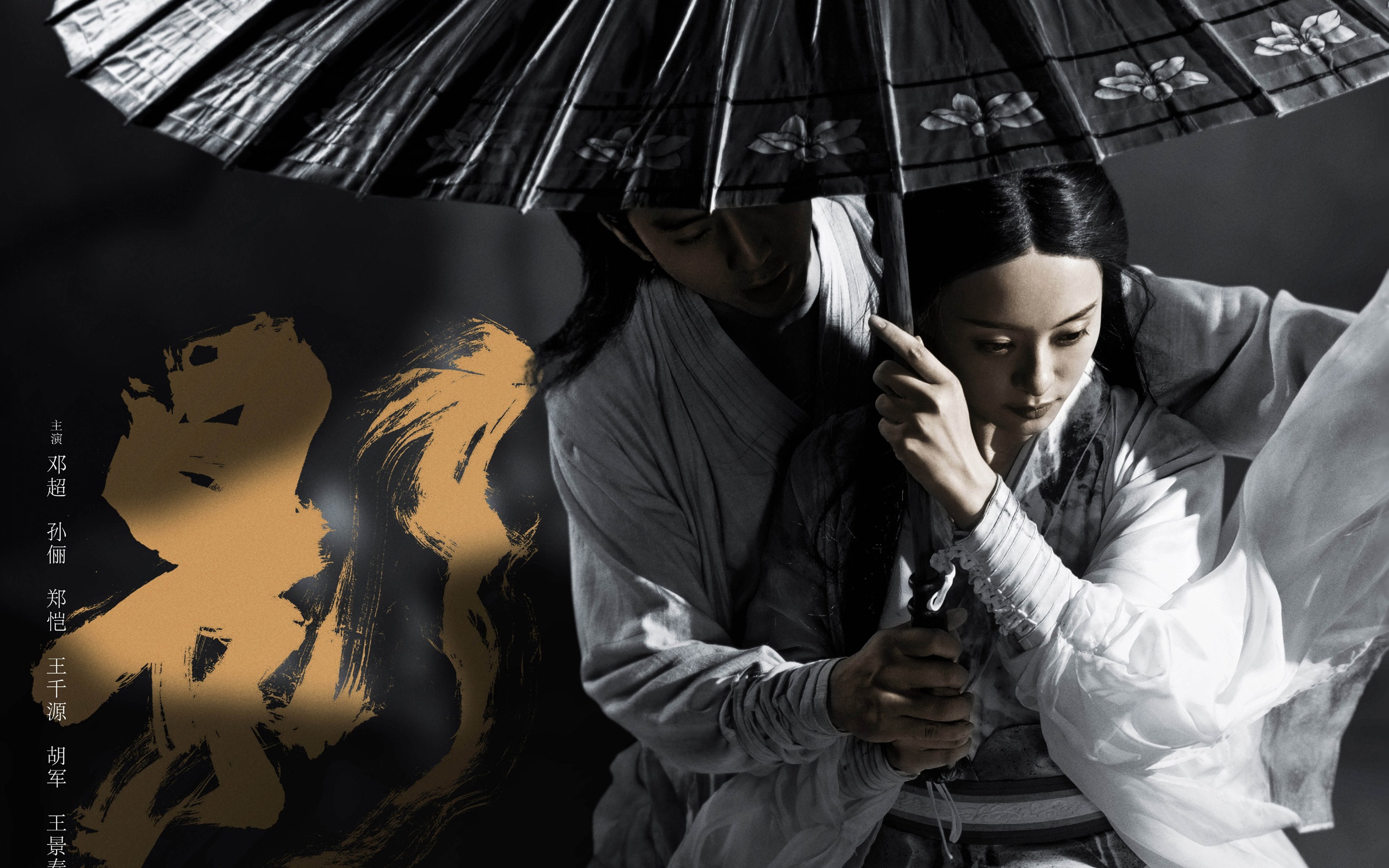 Wallpaper Shadow, Chinese Movie - Shadow Trương Nghệ Mưu - HD Wallpaper 