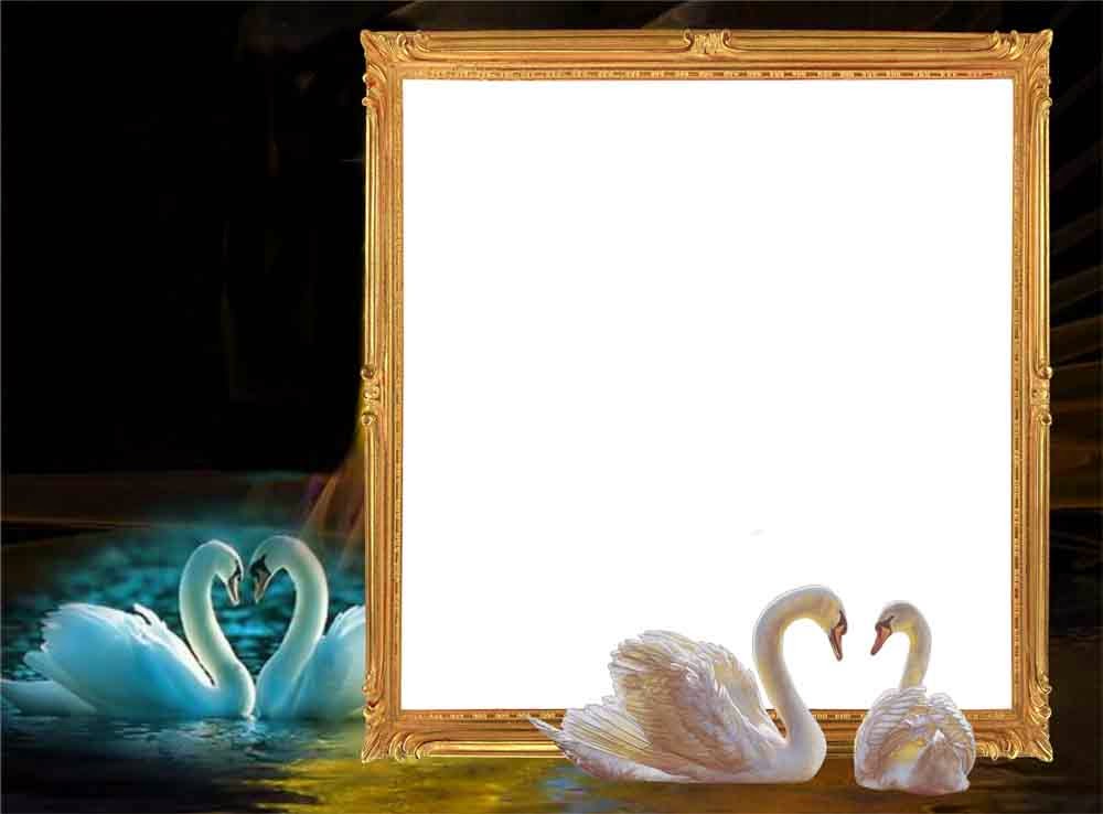 Romantic Frame Love Background Png - Background Png Photo Frame - 1000x738  Wallpaper 