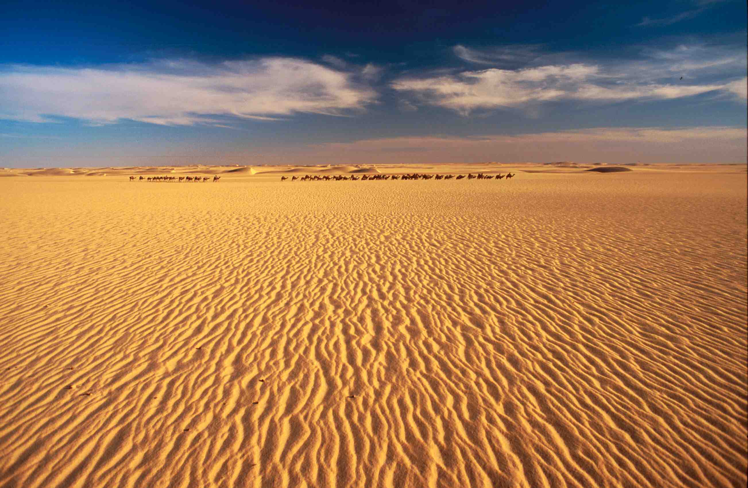 Sahara - HD Wallpaper 