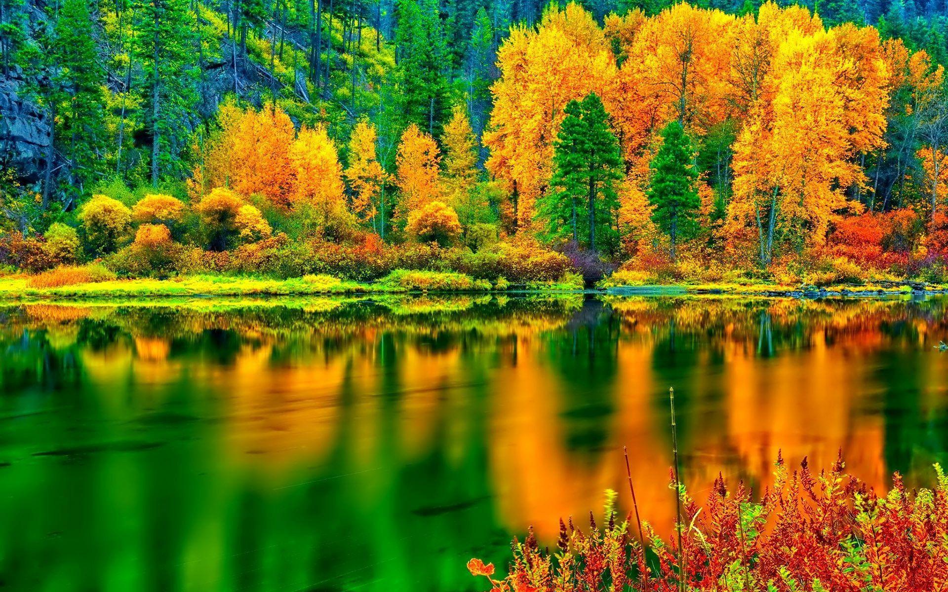 Breathtaking Autumn Colors Hd Desktop Wallpaper Fall Colors Hd