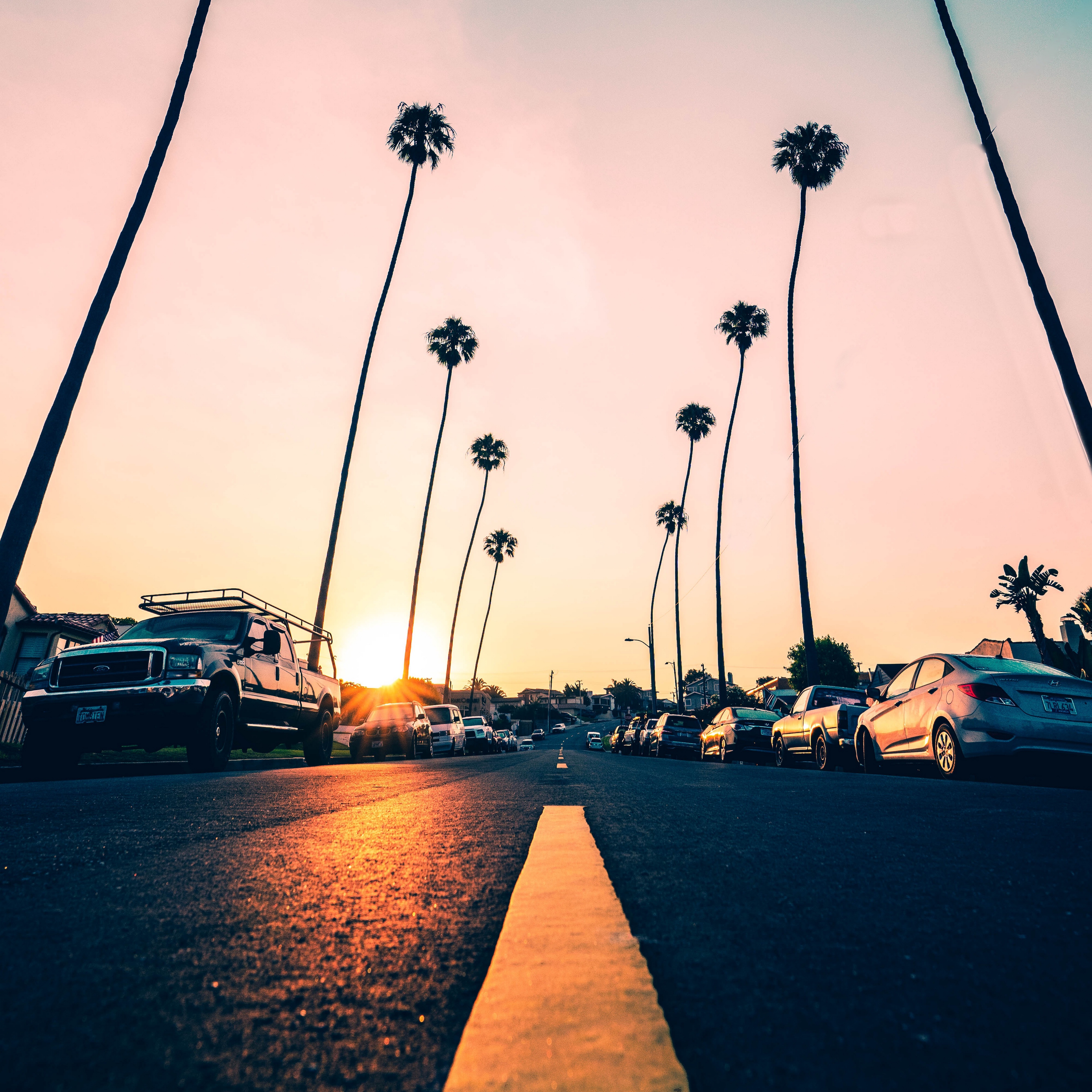 Wallpaper Road, Palm Trees, Asphalt, Cars, Marking, - California Palm ...