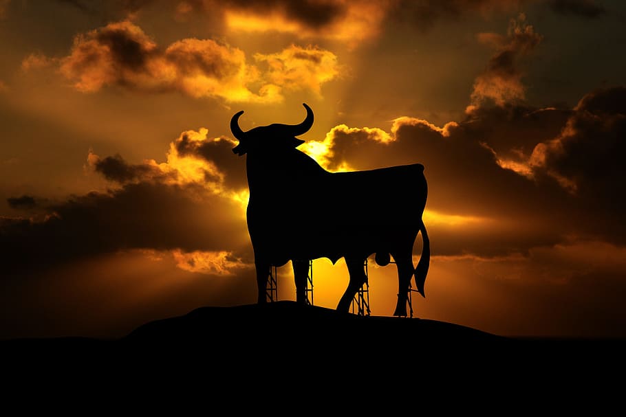Silhouette Of A Bull During Dawn, Osborne, Spain, Mallorca, - Osborne Bull - HD Wallpaper 