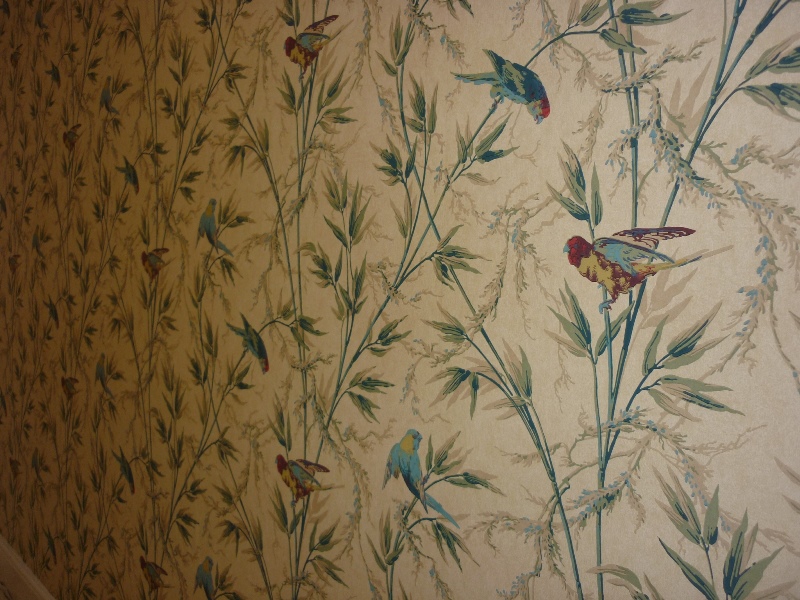 Great Ormond St Little Greene - 800x600 Wallpaper - teahub.io
