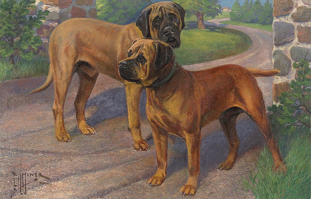 Bullmastiff Antique - HD Wallpaper 