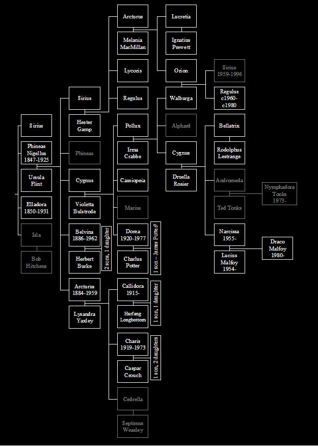 Black Family Tree - 624x874 Wallpaper - teahub.io