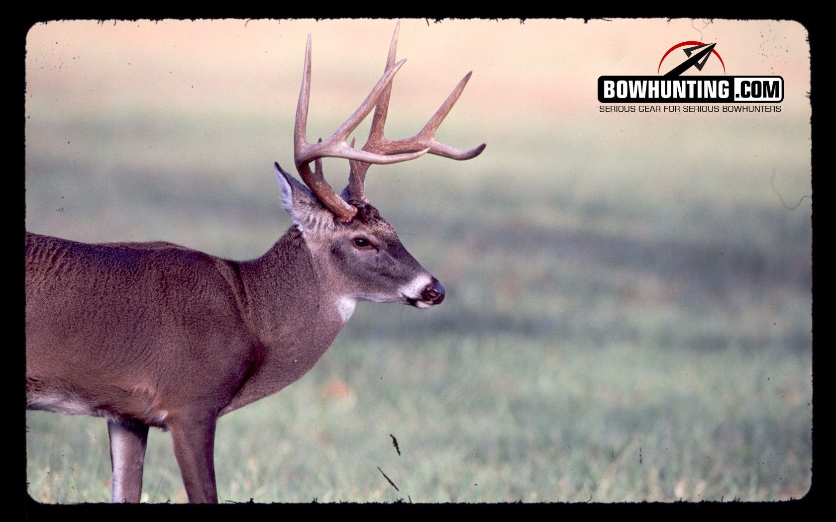 Bowhunting Wallpapers In Best Px Resolutions - Bowhunting - HD Wallpaper 