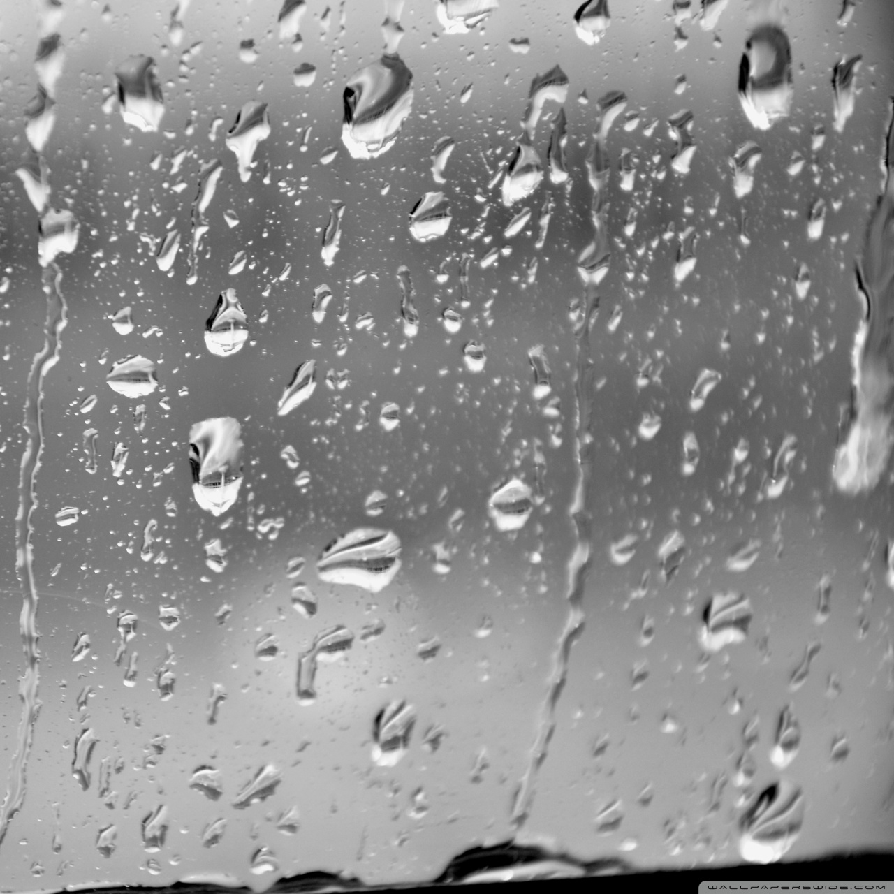 Raindrops On A Screen - 1280x1280 Wallpaper - teahub.io